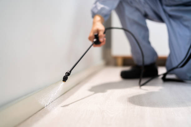 Bed Bug Pre-Treatment Preparation Assessment in Lexington Park
