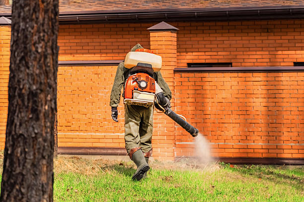 Bed Bug Clearance Verification and Documentation in Lexington Park